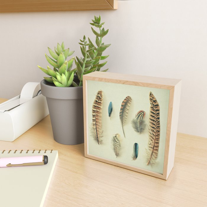 The Feather Collection Mini Art Print Gallery Image 2