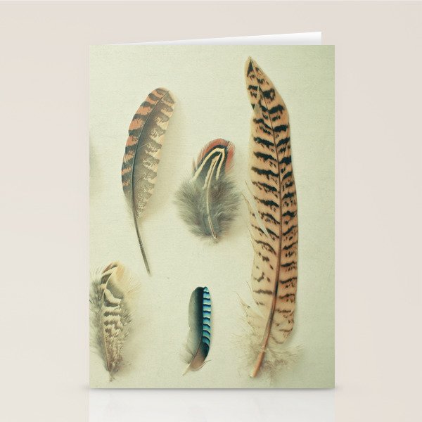 The Feather Collection Stationery Card Gallery Image 1