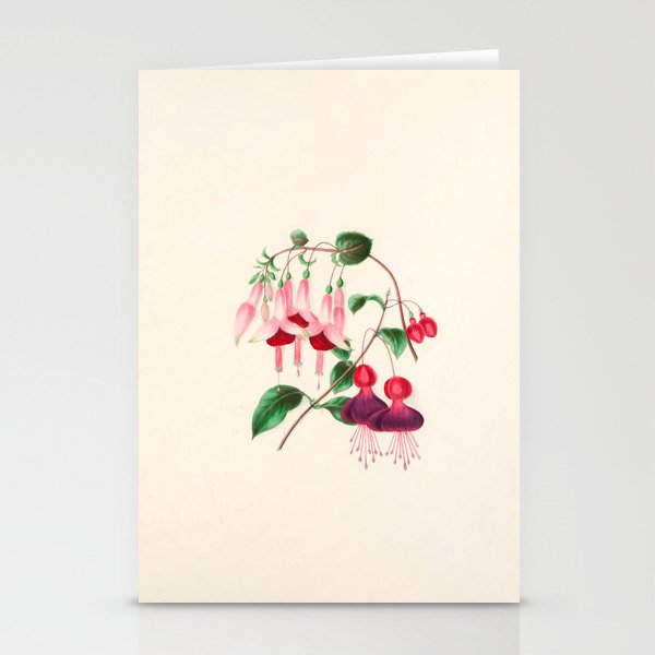  Fuchsia from "Floral Belles" by Clarissa Munger Badger, 1866 (benefitting The Nature Conservancy) Stationery Card Gallery Image 2