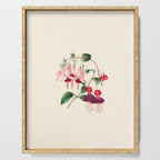 Fuchsia from "Floral Belles" by Clarissa Munger Badger, 1866 (benefitting The Nature Conservancy) Serving Tray Gallery Image 1