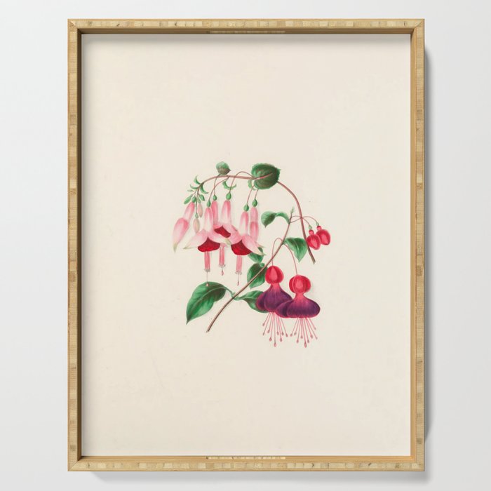  Fuchsia from "Floral Belles" by Clarissa Munger Badger, 1866 (benefitting The Nature Conservancy) Serving Tray Gallery Image 1