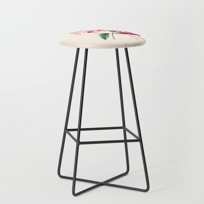  Fuchsia from "Floral Belles" by Clarissa Munger Badger, 1866 (benefitting The Nature Conservancy) Stool Gallery Image 1