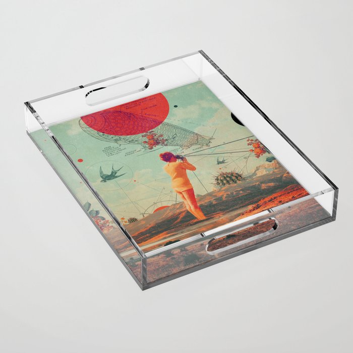 Rover Acrylic Tray Gallery Image 1
