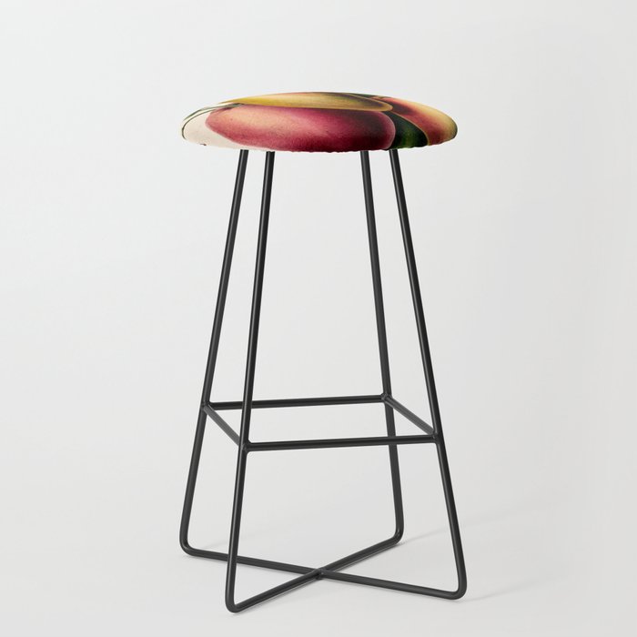 Mango from "Flore dâAmÃ©rique" by Ãtienne Denisse, 1840s Stool Gallery Image 1