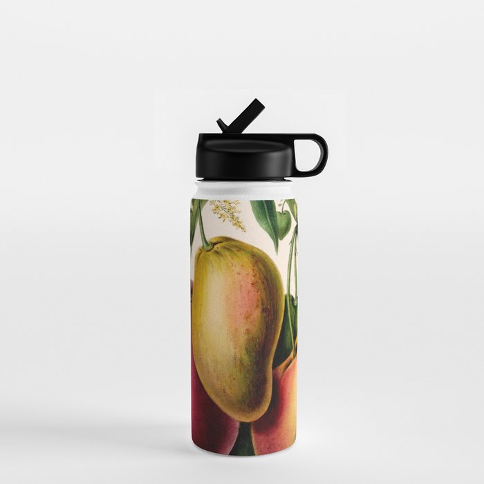Mango from "Flore dâAmÃ©rique" by Ãtienne Denisse, 1840s Water Bottle Gallery Image 1