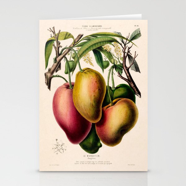 Mango from "Flore dâAmÃ©rique" by Ãtienne Denisse, 1840s Stationery Card Gallery Image 2