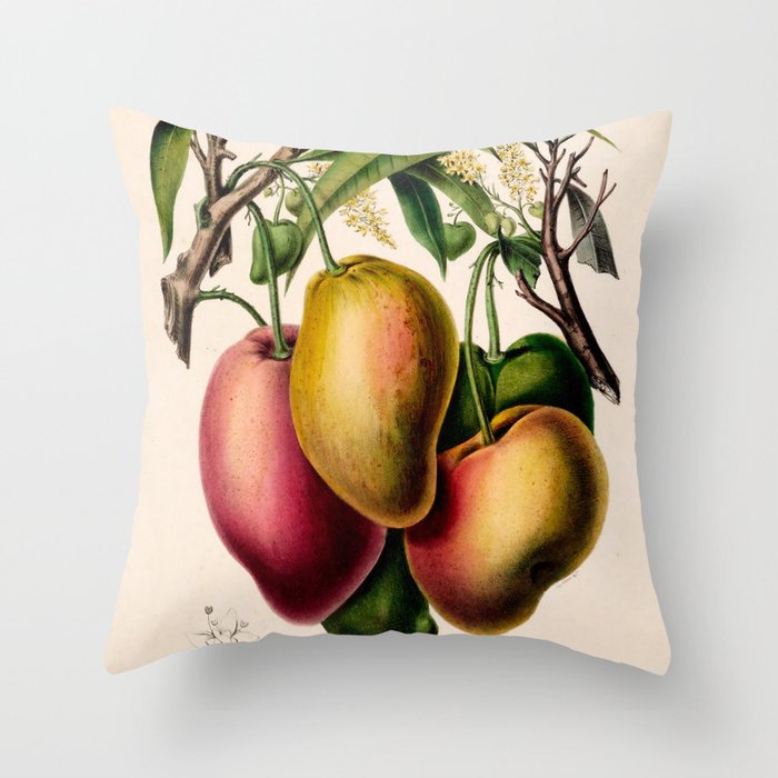 Mango from "Flore dâAmÃ©rique" by Ãtienne Denisse, 1840s Throw Pillow Gallery Image 6