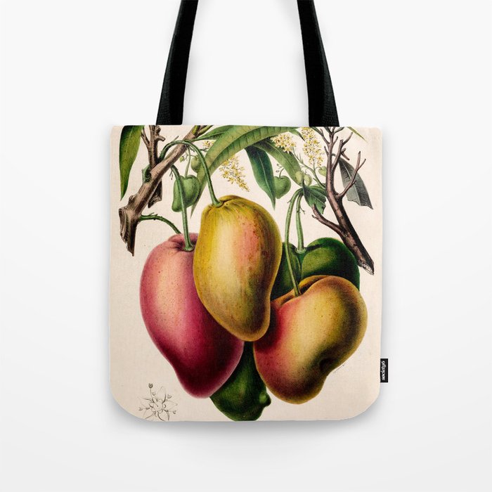 Mango from "Flore dâAmÃ©rique" by Ãtienne Denisse, 1840s Tote Bag Gallery Image 1