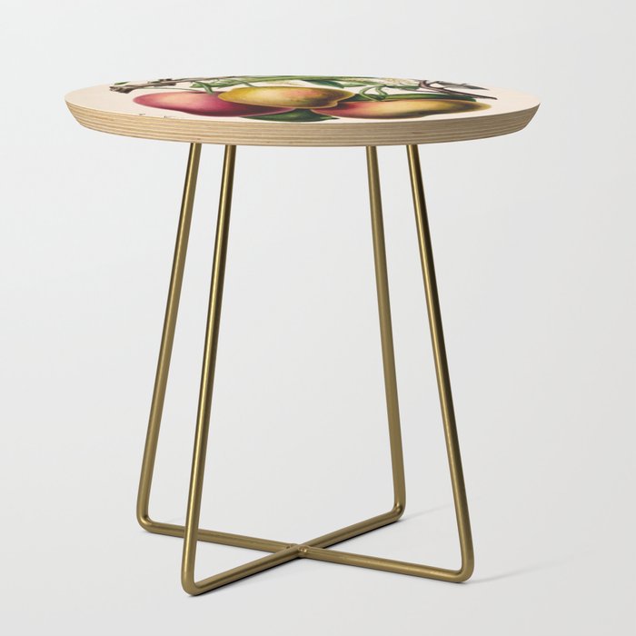 Mango from "Flore dâAmÃ©rique" by Ãtienne Denisse, 1840s Side Table Gallery Image 1