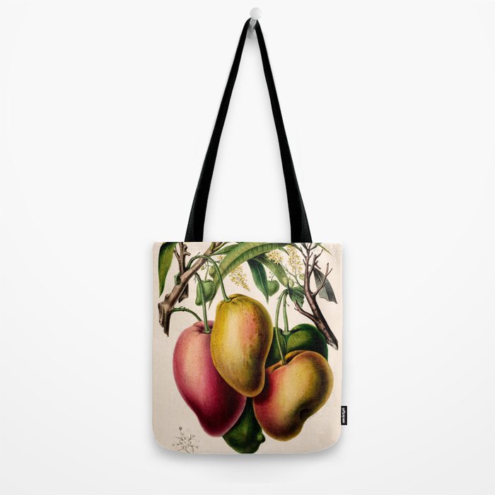 Mango from "Flore dâAmÃ©rique" by Ãtienne Denisse, 1840s Tote Bag Gallery Image 2