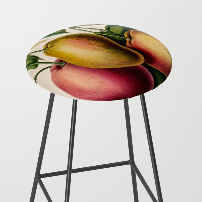 Mango from "Flore dâAmÃ©rique" by Ãtienne Denisse, 1840s Stool Gallery Image 2