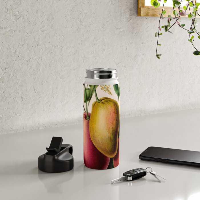 Mango from "Flore dâAmÃ©rique" by Ãtienne Denisse, 1840s Water Bottle Gallery Image 4