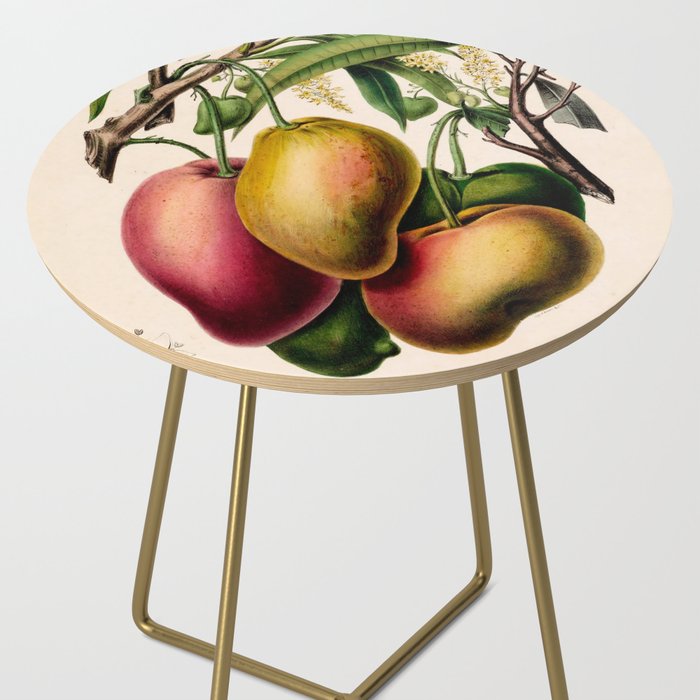 Mango from "Flore dâAmÃ©rique" by Ãtienne Denisse, 1840s Side Table Gallery Image 2