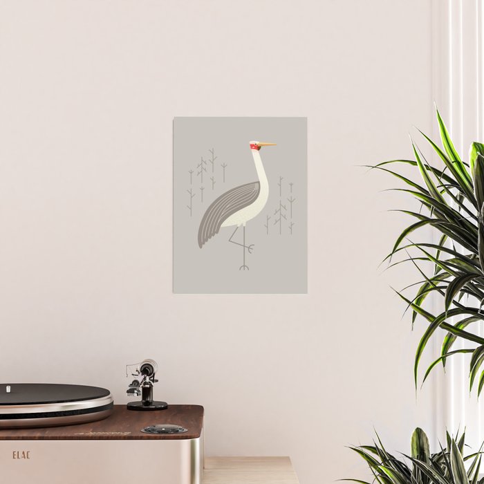 Brolga, Bird of Australia Poster Gallery Image 2