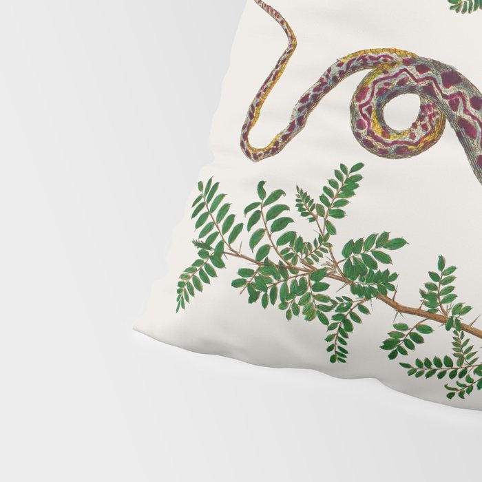 Mimosa Snake Seba Albertus Pillow Sham Gallery Image 4