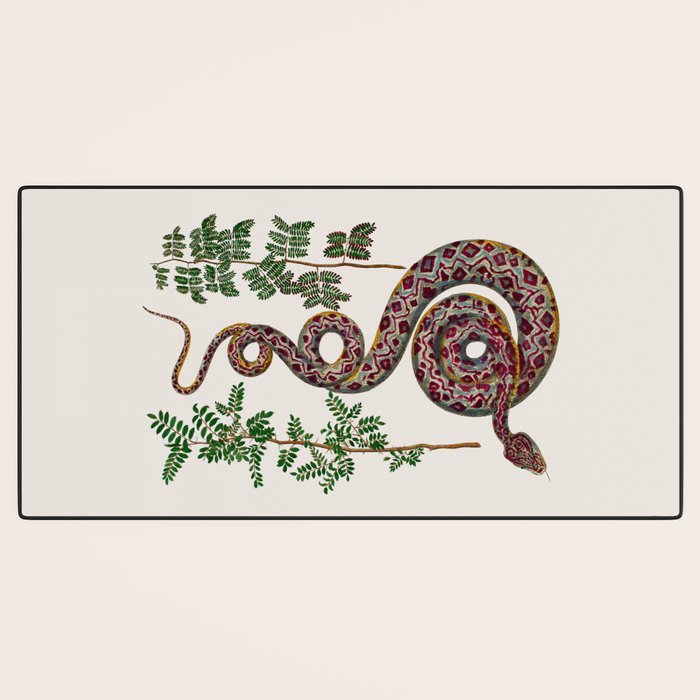 Mimosa Snake Seba Albertus Desk Mat Gallery Image 3
