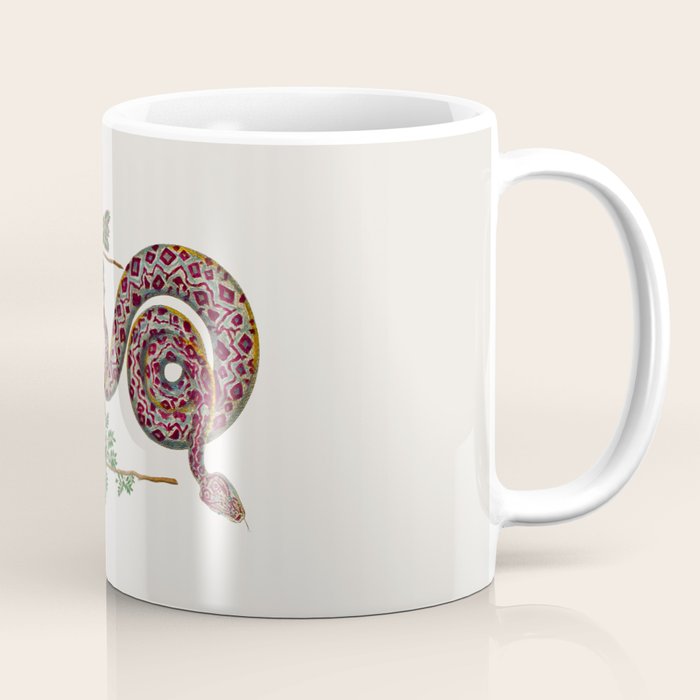 Mimosa Snake Seba Albertus Coffee Mug Gallery Image 1