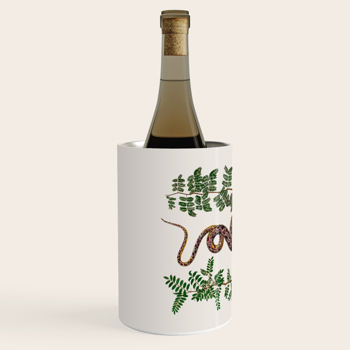 Mimosa Snake Seba Albertus Wine Chiller Gallery Image 2