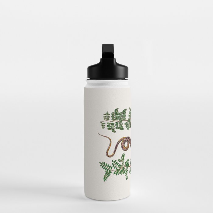 Mimosa Snake Seba Albertus Water Bottle Gallery Image 3