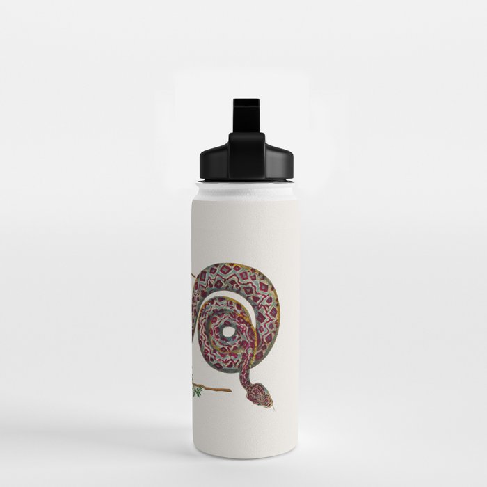 Mimosa Snake Seba Albertus Water Bottle Gallery Image 2
