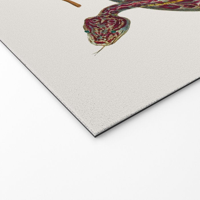 Mimosa Snake Seba Albertus Welcome Mat Gallery Image 2