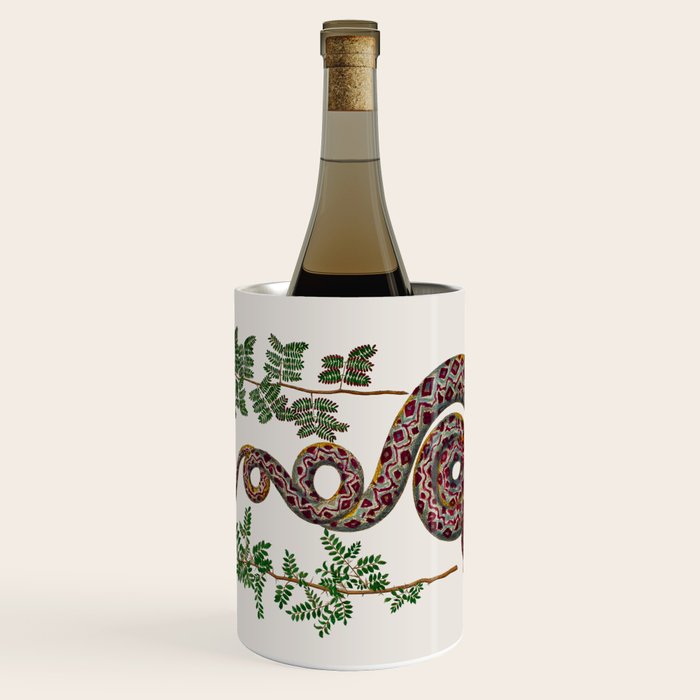 Mimosa Snake Seba Albertus Wine Chiller Gallery Image 1