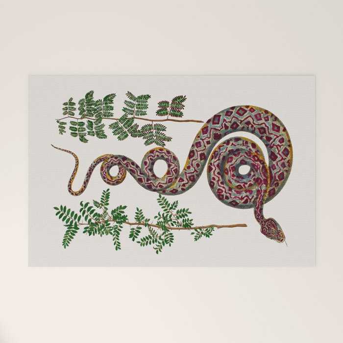 Mimosa Snake Seba Albertus Welcome Mat Gallery Image 1