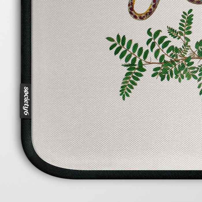 Mimosa Snake Seba Albertus Laptop Sleeve Gallery Image 3