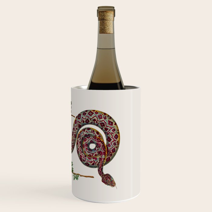 Mimosa Snake Seba Albertus Wine Chiller Gallery Image 3