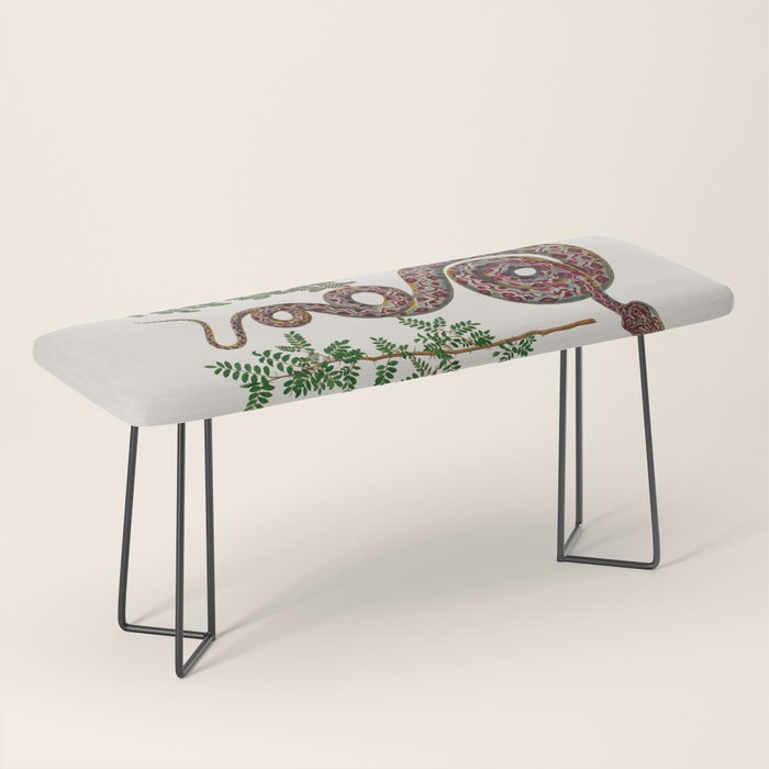 Mimosa Snake Seba Albertus Bench Gallery Image 1