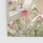 Spring Blossom Poster Gallery Image 3