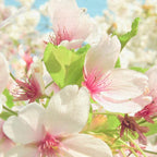 Spring Blossom Coffee Mug Gallery Image 2