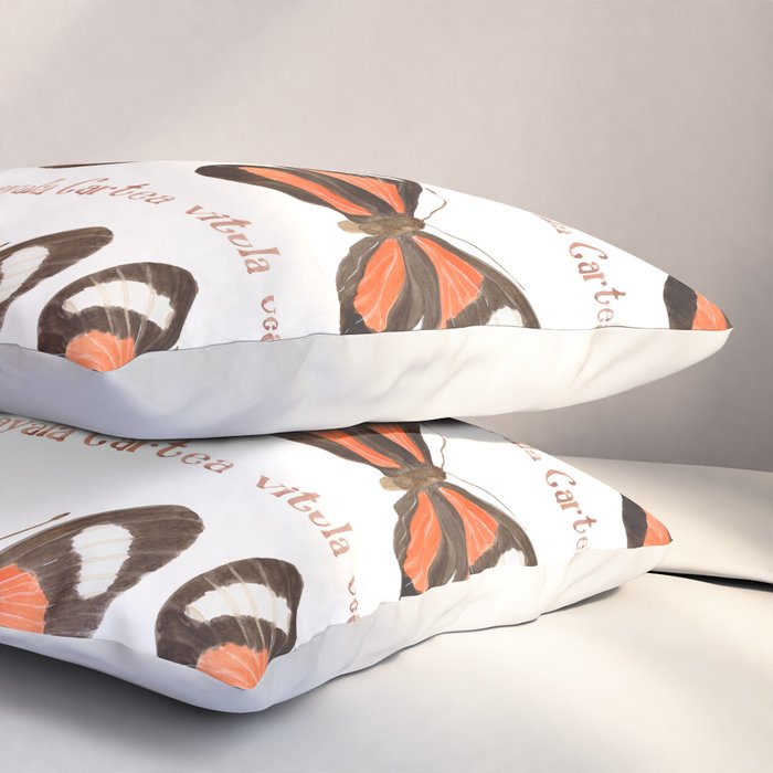 Butterfly - Cartea vitula ucayala Pillow Sham Gallery Image 3