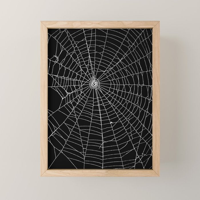 Spider Spider Web Mini Art Print Gallery Image 1