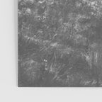 Oglala War Party Native American Oglala tribe in full headdress black and white photograph Poster Gallery Image 3