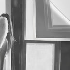 Caught Her Sneaking Out the Bathroom Window female angel black and white photograph - photography - photographs wall decor Wall Tapestry Gallery Image 3