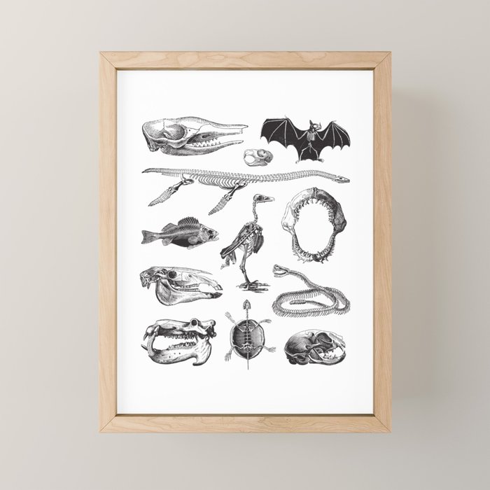 Animal Bones Mini Art Print Gallery Image 1