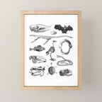 Animal Bones Mini Art Print Gallery Image 1