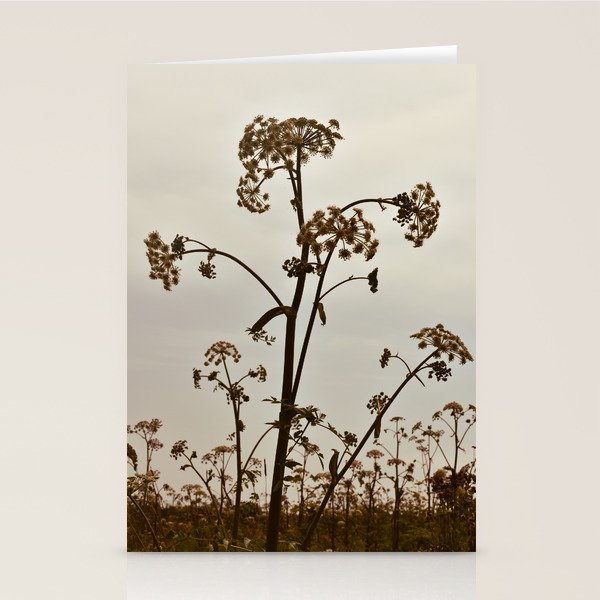 Pirouette x wildflower botanical photograph Stationery Card Gallery Image 2