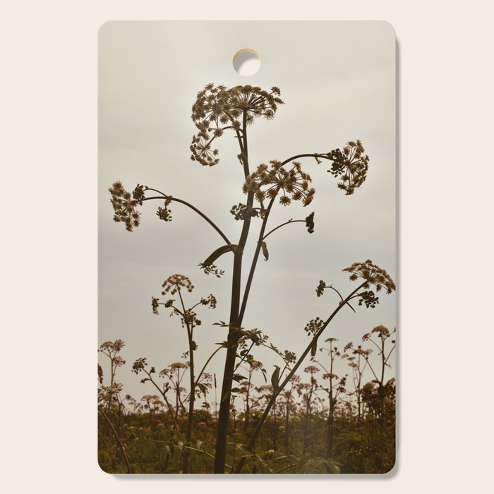Pirouette x wildflower botanical photograph Cutting Board Gallery Image 1