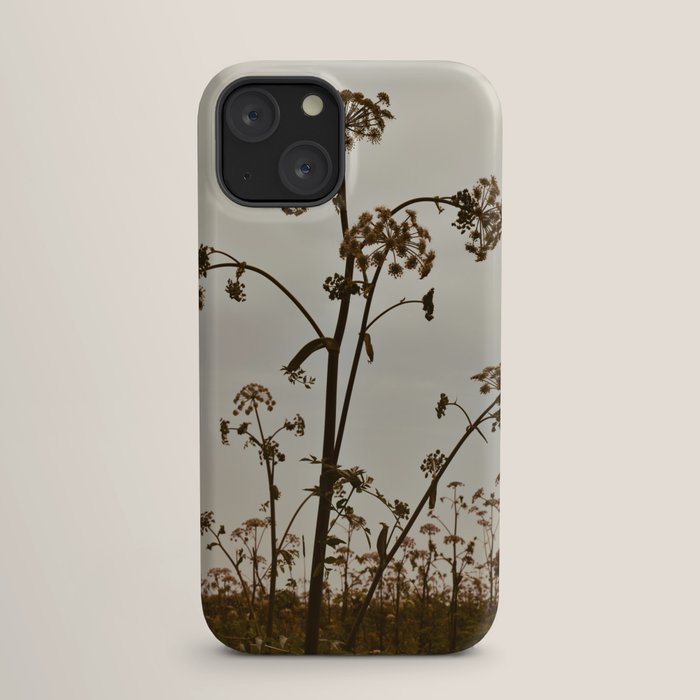 Pirouette x wildflower botanical photograph iPhone Case Gallery Image 17