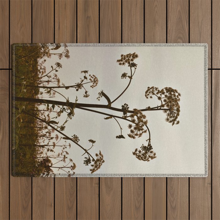 Pirouette x wildflower botanical photograph Outdoor Rug Gallery Image 1