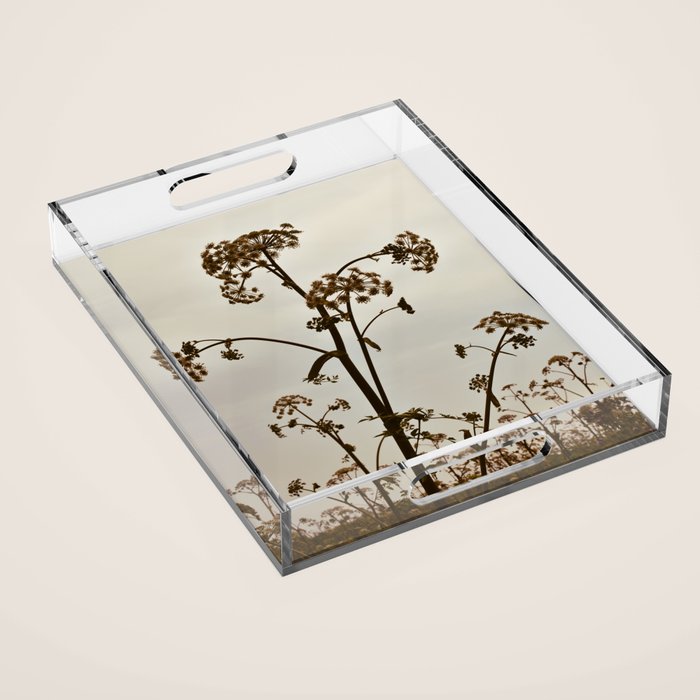 Pirouette x wildflower botanical photograph Acrylic Tray Gallery Image 1