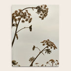Pirouette x wildflower botanical photograph Notebook Gallery Image 4