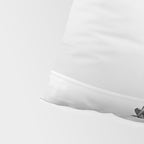 Steady As She Goes 6; aircraft coming in for an island landing female in bikini black and white photography - photographs - photograph Pillow Sham Gallery Image 4