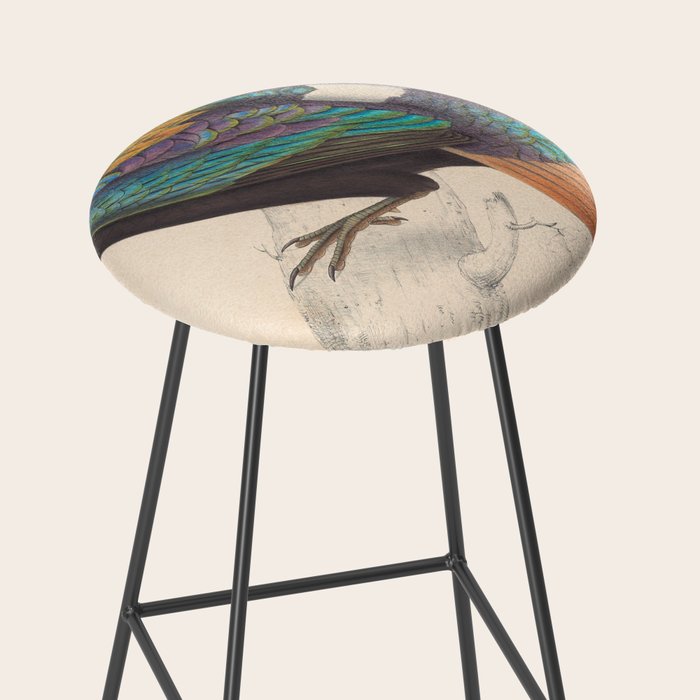 Himalayan monal by Elizabeth Gould from "A Century of Birds from the Himalaya Mountains," 1831 Stool Gallery Image 2