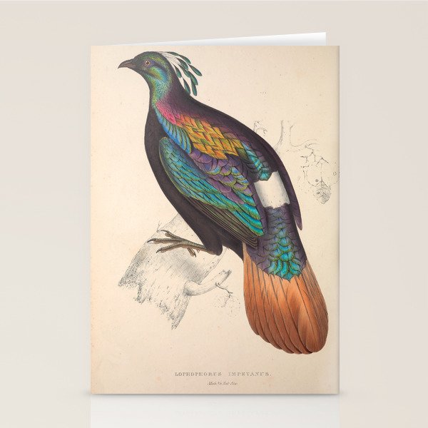 Himalayan monal by Elizabeth Gould from "A Century of Birds from the Himalaya Mountains," 1831 Stationery Card Gallery Image 1