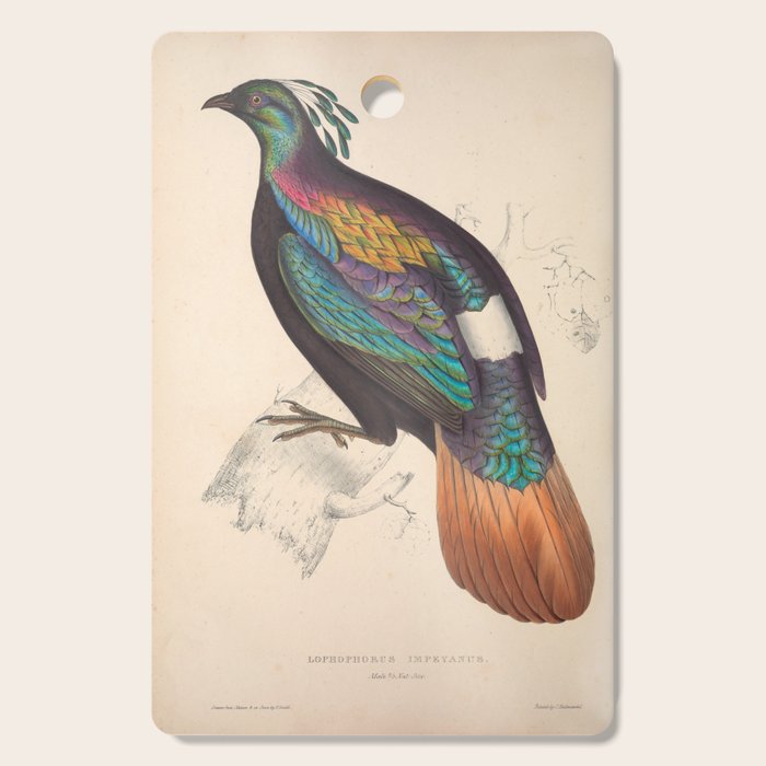 Himalayan monal by Elizabeth Gould from "A Century of Birds from the Himalaya Mountains," 1831 Cutting Board Gallery Image 1