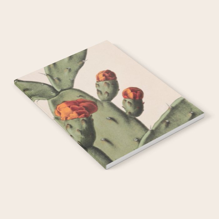 Botanical Cactus Notebook Gallery Image 2