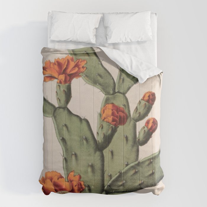 Botanical Cactus Comforter Gallery Image 1